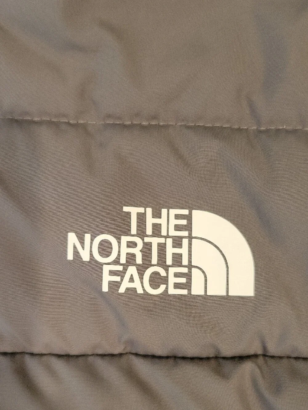 The North Face Men's Gray Hooded Puffer Jacket